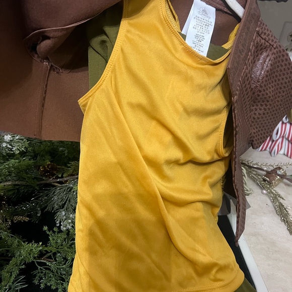 Disney Raya Brown and Gold Costume Vest (Raya and the last dragon) - Picture 3 of 3